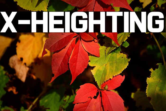 X-Heighting Example 2