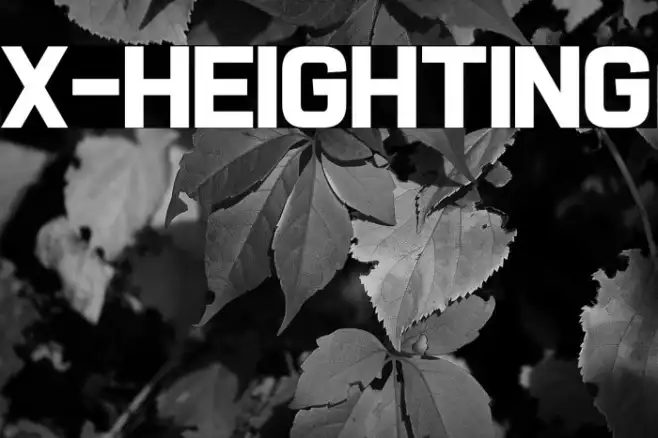 X-Heighting Example 2