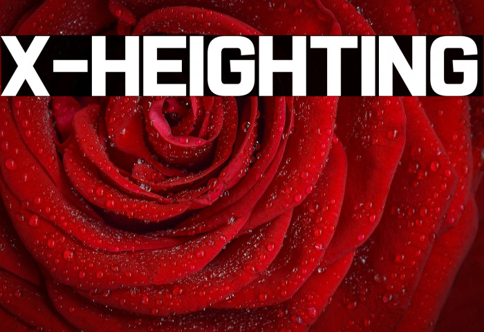 X-Heighting Example 3