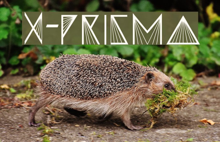 X-PRISMA Font examples