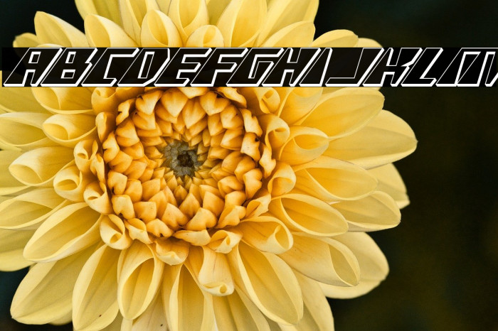 X-Racer 3D Italic Example 3