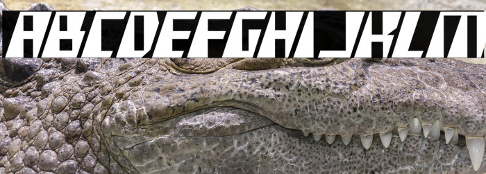 X-Racer Condensed Example 2