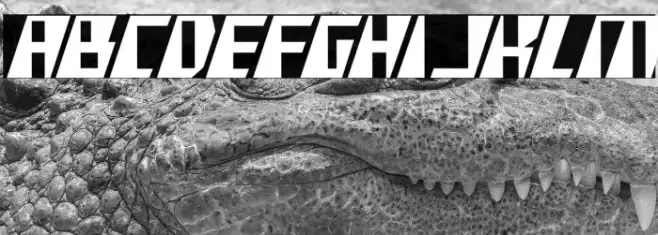 X-Racer Condensed Example 2