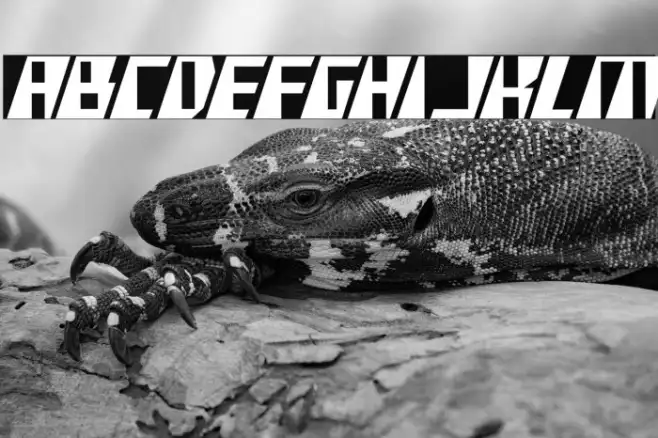 X-Racer Condensed Example 3