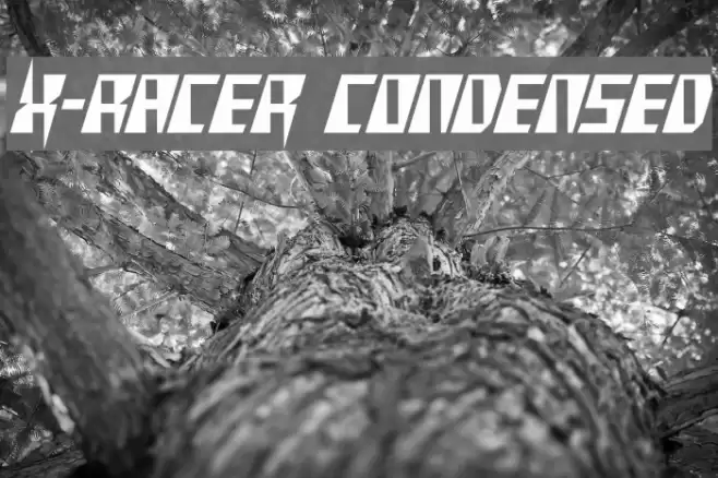 X-Racer Condensed Font examples