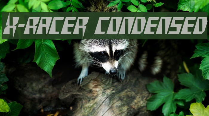 X-Racer Condensed لخطوط تنزيل examples