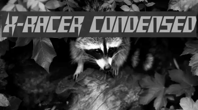 X-Racer Condensed Font examples