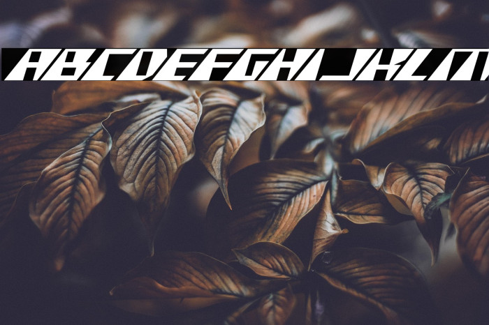 X-Racer Expanded Italic Example 2