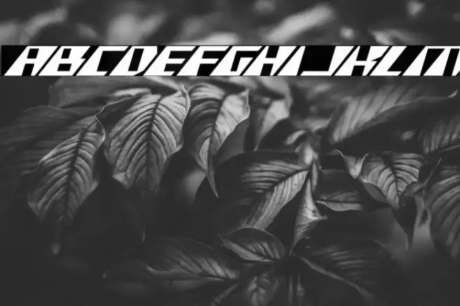 X-Racer Expanded Italic Font examples