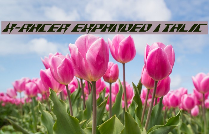 X-Racer Expanded Italic フォント examples
