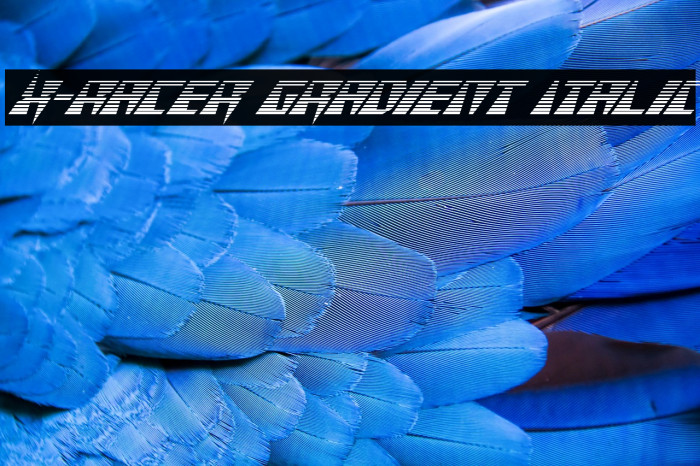 X-Racer Gradient Italic Example 2