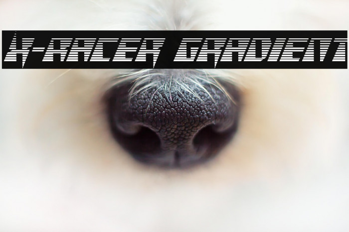 X-Racer Gradient Example 3
