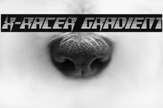 X-Racer Gradient Schriftart examples