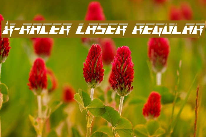 X-Racer Laser Regular Font examples