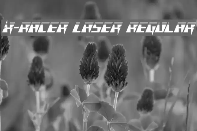 X-Racer Laser Regular خط examples