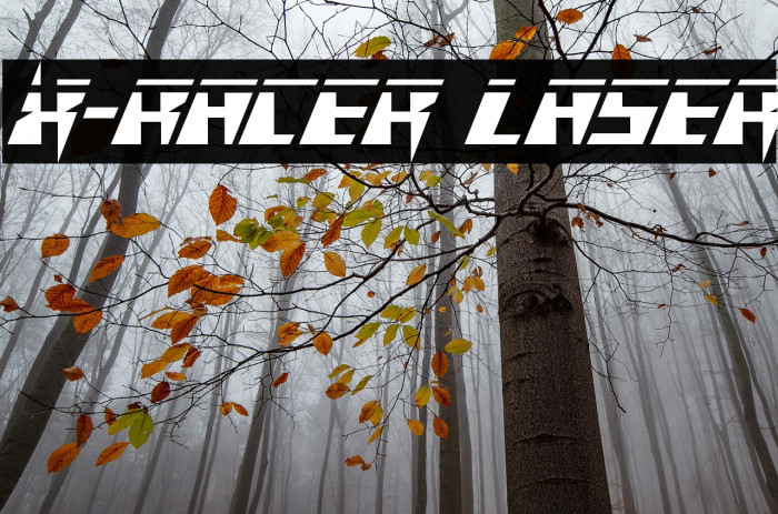 X-Racer Laser Example 1