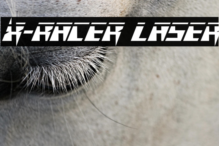 X-Racer Laser Example 2