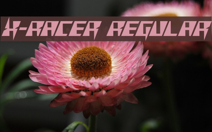 X-Racer Regular フォント examples