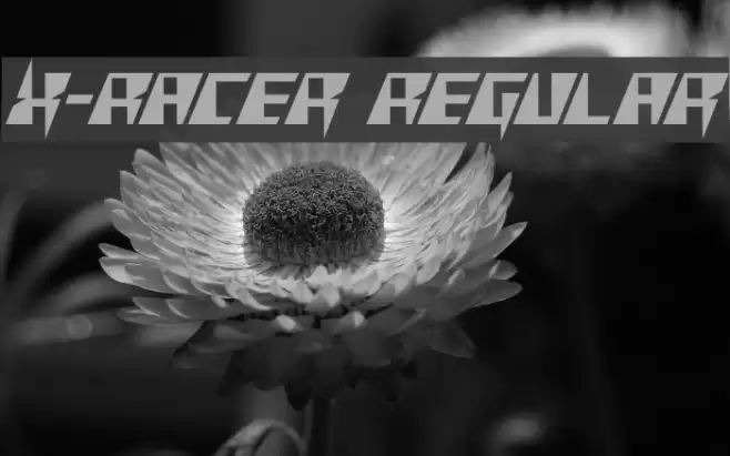 X-Racer Regular フォント examples