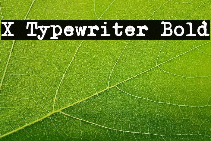 X Typewriter Bold Example 1