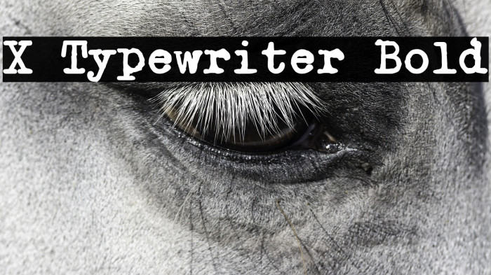 X Typewriter Bold Example 3
