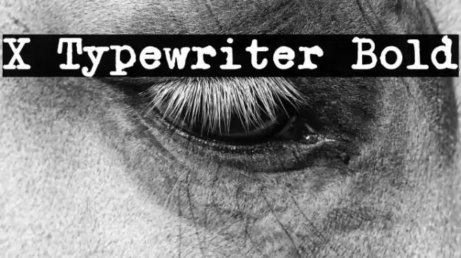 X Typewriter Bold フォント examples