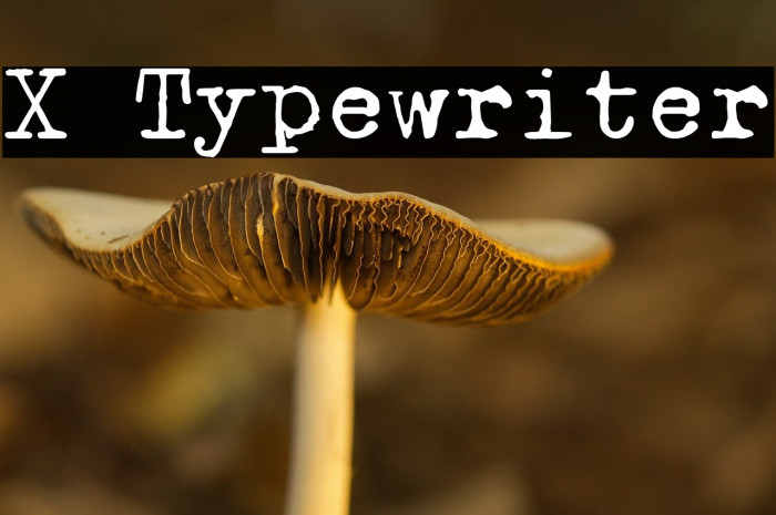 X Typewriter Example 2