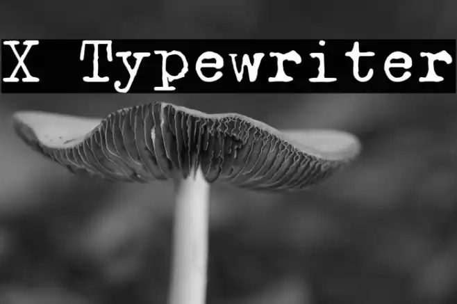 X Typewriter Polices examples