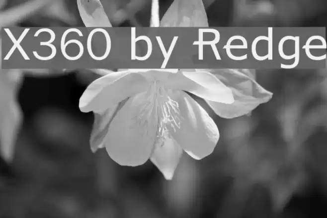 X360 by Redge Fuentes examples