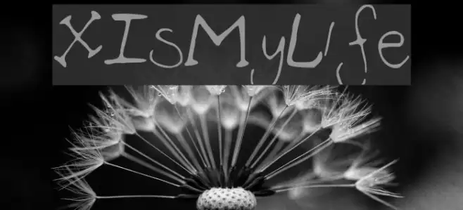 X_Is_My_Life Example 3