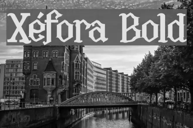 Xéfora Bold Example 1