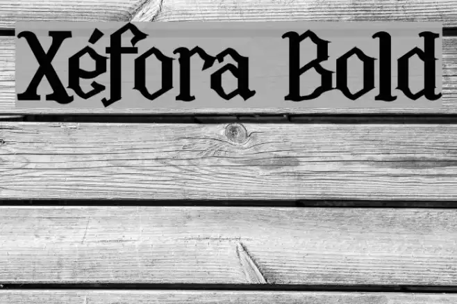 Xéfora Bold Example 2