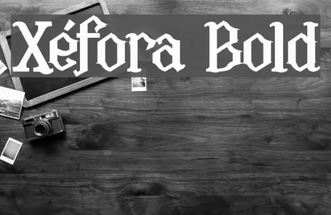 Xéfora Bold Example 3