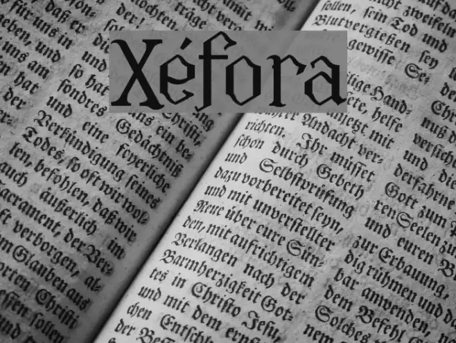 Xéfora Example 1