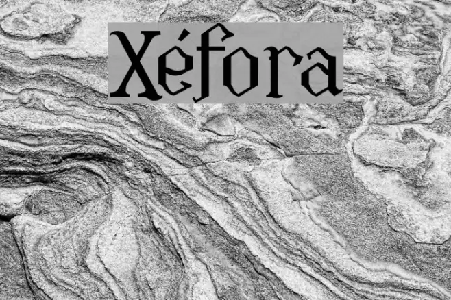 Xéfora Example 3