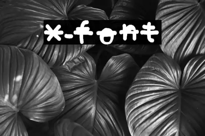 x-font Example 1