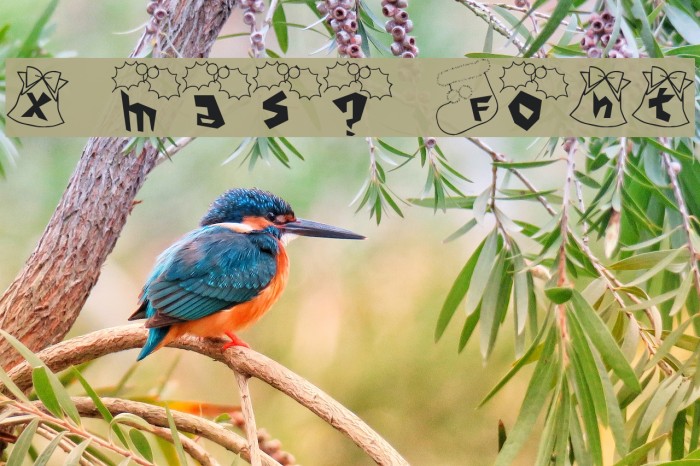 x'mas? Font Example 1