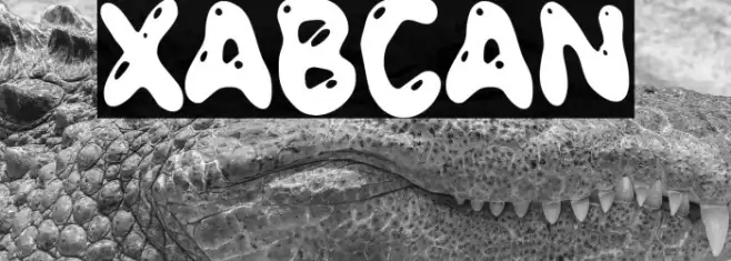 XABCAN Example 2