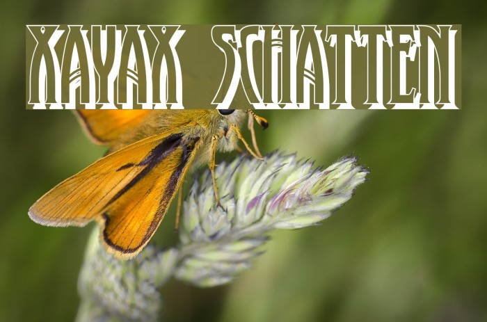 XAyax Schatten Font examples