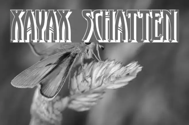 XAyax Schatten Example 1