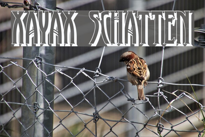 XAyax Schatten Font examples