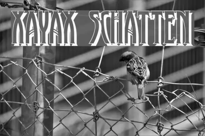 XAyax Schatten Example 3