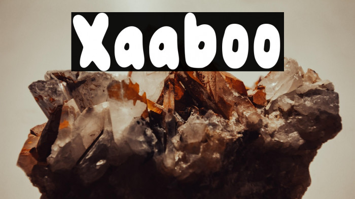 Xaaboo Example 1