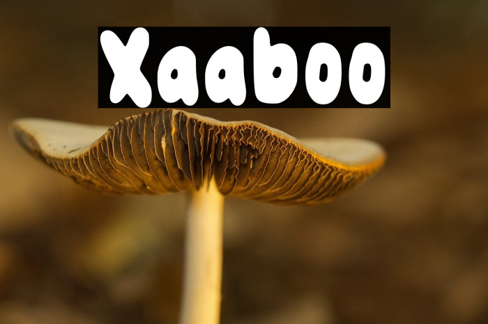 Xaaboo Example 3