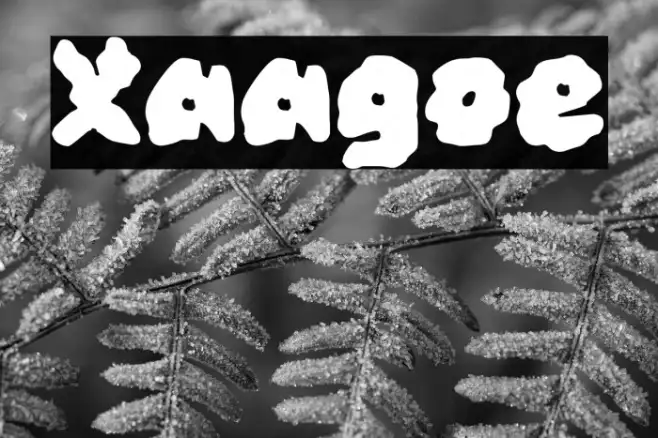 Xaagoe Example 1