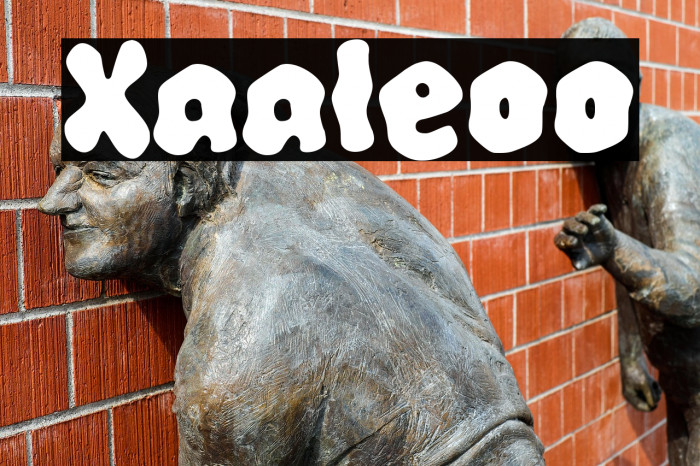 Xaaleoo Example 1