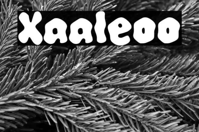 Xaaleoo Example 2