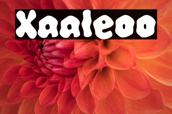 Xaaleoo Example 3