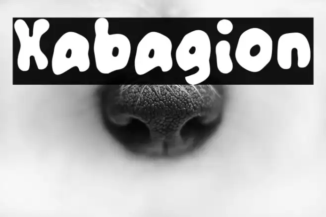 Xabagion Example 1