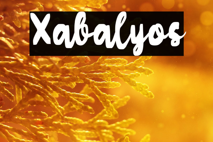 Xabalyos Example 2